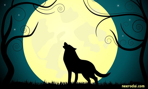 sagunam innum iliyavillai