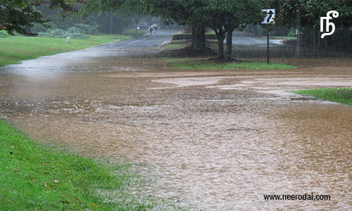 saalaiyoda neer thekkamaaga