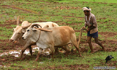 pongal vaazhthu uzhavan kavithai