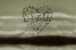 kaadhalar thina sirappu kavithai 2011