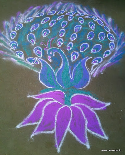 kolam-contest-2014 kolam-contest-2014