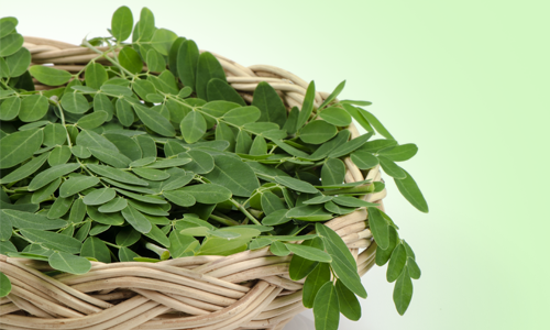 health benefits of drumstick in tamil