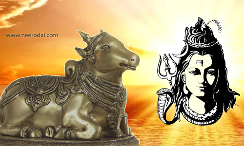 pradosham palangal mantram tamil