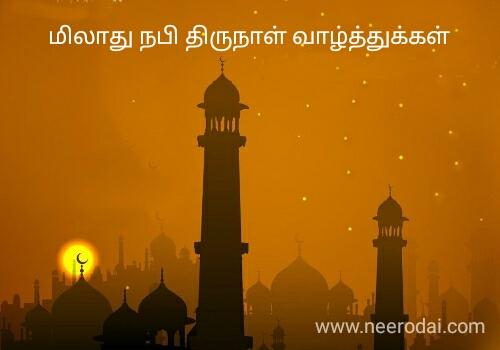 nabigal nayagam miladi nabi